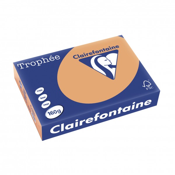 Clairefontaine Multifunktionspapier Trophee, A4, 160 g/qm,camel