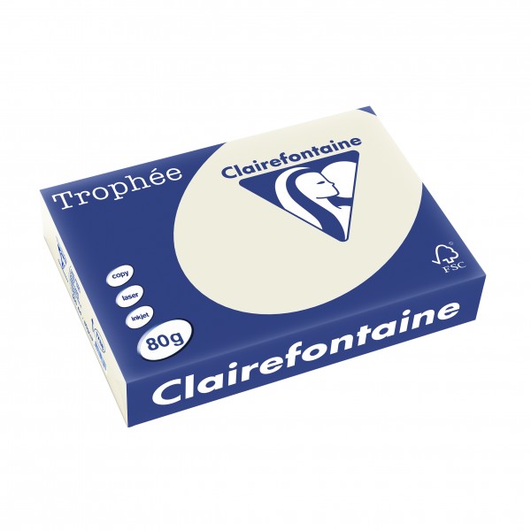Clairefontaine Multifunktionspapier Trophée, A4, 80 g/qm, hellgrau